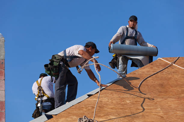 Best Roof Maintenance Services  in Rochester, WA